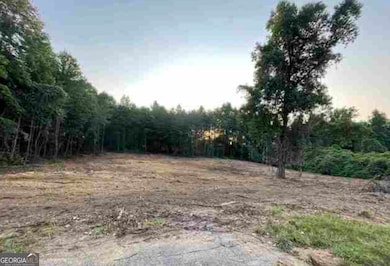 0 Asbestos Rd unit 10644874, Cleveland, GA 30528 - photo 4