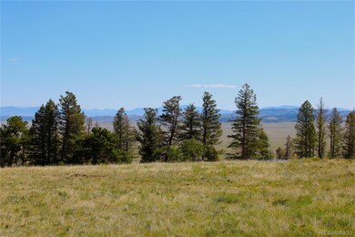 198 Baler Ct unit 891, Hartsel, CO 80449 - photo 2