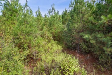 Parcel 4 Dora Barber, Tylertown, MS 39667 - photo 7