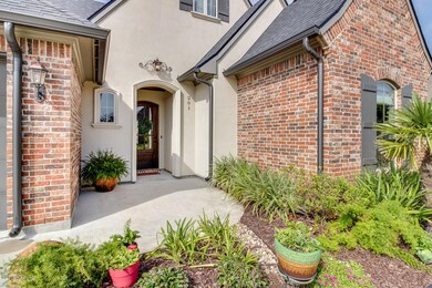 201 Sago Palm-3 - Copy