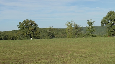 Georgetti Forest View Lot 523 (2)