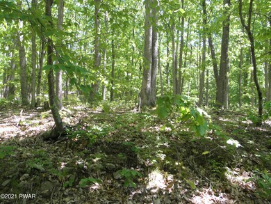 0 3 Rd Road Lake Rd unit PWB211844, Hawley, PA 18428 - photo 2