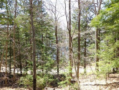 0 Lake Ave, Gray, ME 04039 - photo 3