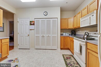 2495 Amber Orchard Ct E unit 103, Odenton, MD 21113 - photo 5