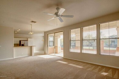 Cypress - 13557 (4)