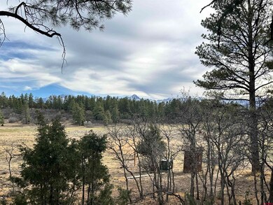 46 Marmot Ct, Ridgway, CO 81432 - photo 5