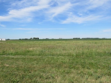 157 Shadow Ridge Blvd, Forsyth, IL 62535 - photo 4