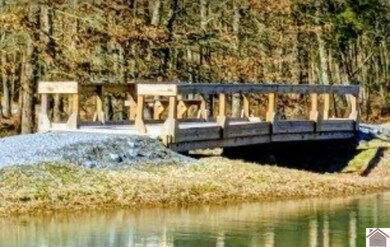 149 Centerview Rd, Murray, KY 42071 - photo 5