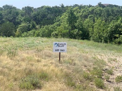 2104 Eagles Crest Ln, Brock, TX 76087 - photo 3