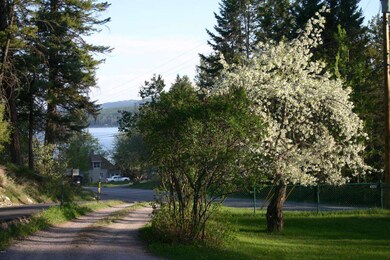 driveway to the lake