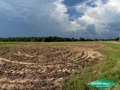 State Highway 173, Wilmot, AR 71676 - photo 6