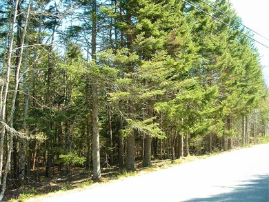 View of Lot & Road Frontage