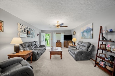 40725 Biggs Rd, Lagrange, OH 44050 - photo 5