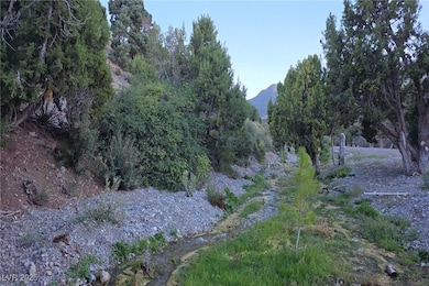 0 Bugling Bull Rd unit 2720125, Cold Creek, NV 89124 - photo 2