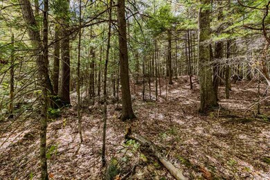 Lot 2 N Wilmot Rd, Wilmot, NH 03257 - photo 3