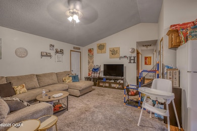 2014 W Perkins St, Joplin, MO 64801 - photo 4