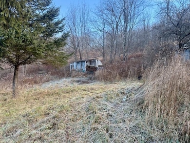 Lot 36 County Road 4, Preston, NY 13830 - photo 5