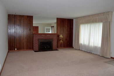 New Carpet!