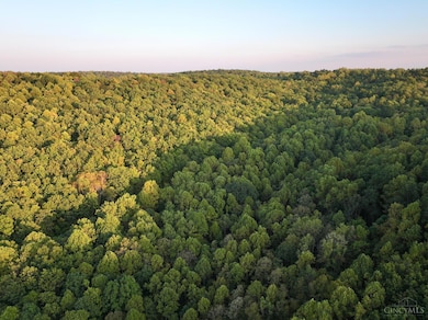 0 S Side Chenoweth Fork Rd, Sunfish Township, OH 45660 - photo 5