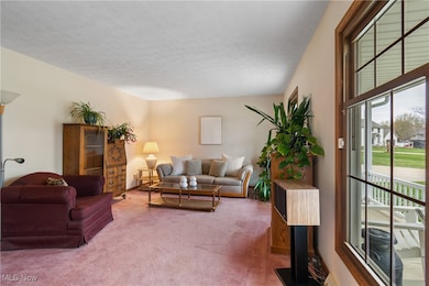 Carpeted living room featuring a textured ceiling