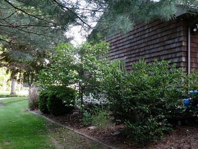 Exterior Back. landscaping on side of home