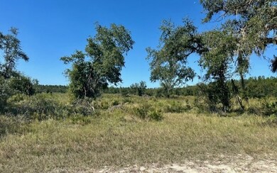 0 NE 35th Ave unit 129202, Bronson, FL 32621 - photo 5