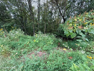 Lot 192 Clinch View Rd, New Tazewell, TN 37825 - photo 4