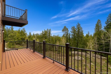 33606 Gap Rd, Golden, CO 80403 - photo 6