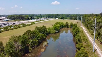219 Cannon Bridge Rd, Orangeburg, SC 29115 - photo 2