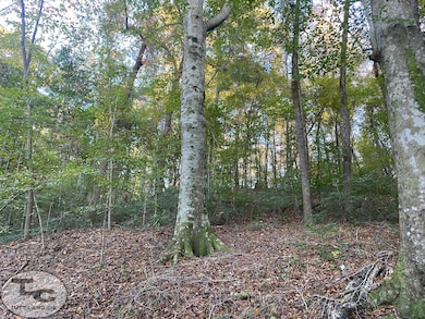 2081 Gallatin St, Hazlehurst, MS 39083 - photo 4