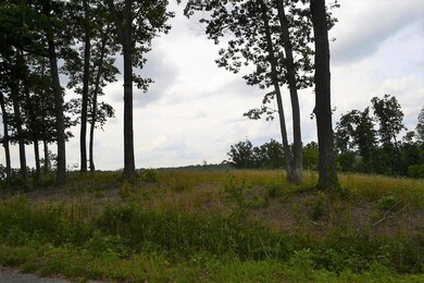 0 Red Williams Rd, Crossville, TN - photo 3