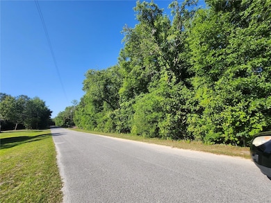 TBD SW Yazoo Ct, Rainbow Lakes Estates, FL 34431 - photo 3