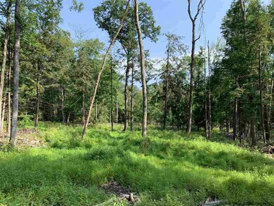 Lot 2 TBD Cherry Hill Rd, Stone Ridge, NY 12484 - photo 3