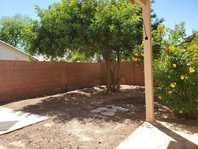 Backyard1