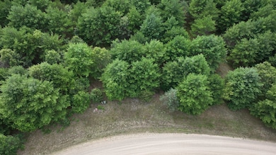 Lot 15 Sandy Pines Ct, Redgranite, WI 54970 - photo 4