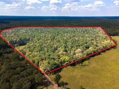 TBD County Road 2798, Shelbyville, TX 75973 - photo 7