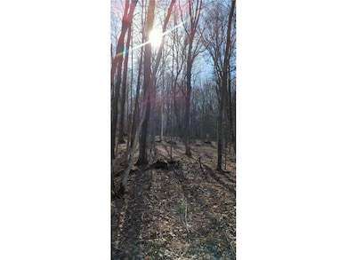 22803 Paulich Rd, Lewis, WI 54837 - photo 3