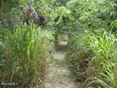 bike path