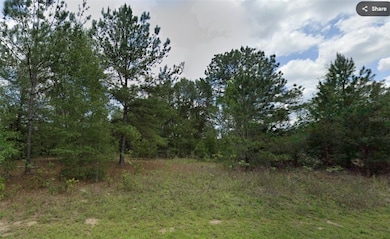 576 E Abady Ln, Citrus Springs, FL 34434 - photo 2