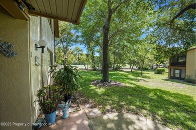 39-web-or-mls-DSC04360