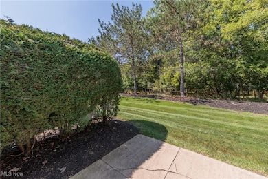 1151 N Jefferson St unit 18, Medina, OH 44256 - photo 6