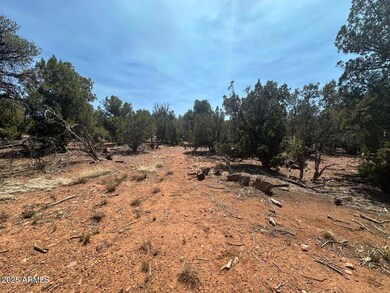 Lot #2 Power Line Rd unit S, Heber, AZ 85928 - photo 4