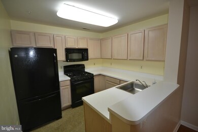 4 Tyler Falls Ct unit F, Baltimore, MD 21209 - photo 6