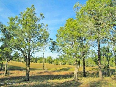 Beautiful Fairway Lot