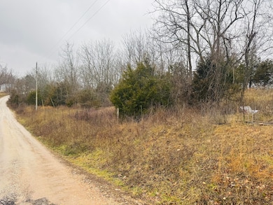 000 Primrose Ln, Clever, MO 65631 - photo 5