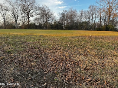 0 Rd unit 1324220, Dandridge, TN 37725 - photo 6