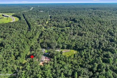 25485 Old Highway 49, Saucier, MS 39574 - photo 5