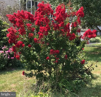 13365 Scotsmore Way, Herndon, VA 20171 - photo 6