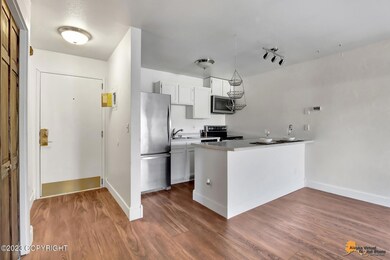 Living Room/Kitchen