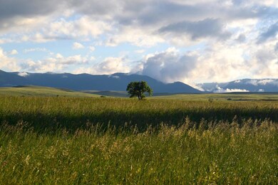Roadifer-west evening views